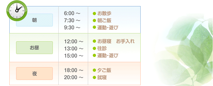 老犬ホーム 1日の過ごし方