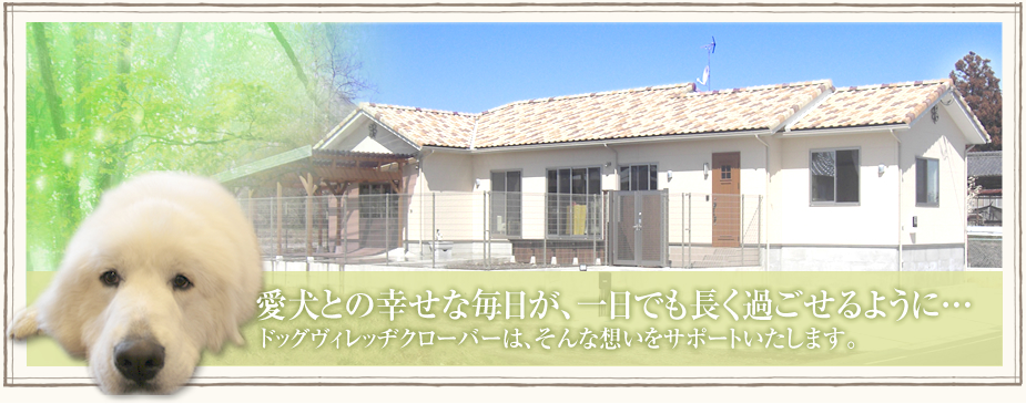 愛犬との幸せな毎日が、一日でも長く過ごせるように…。関東の老犬ホーム、ドッグヴィレッヂクローバーは、そんな想いをサポートいたします。